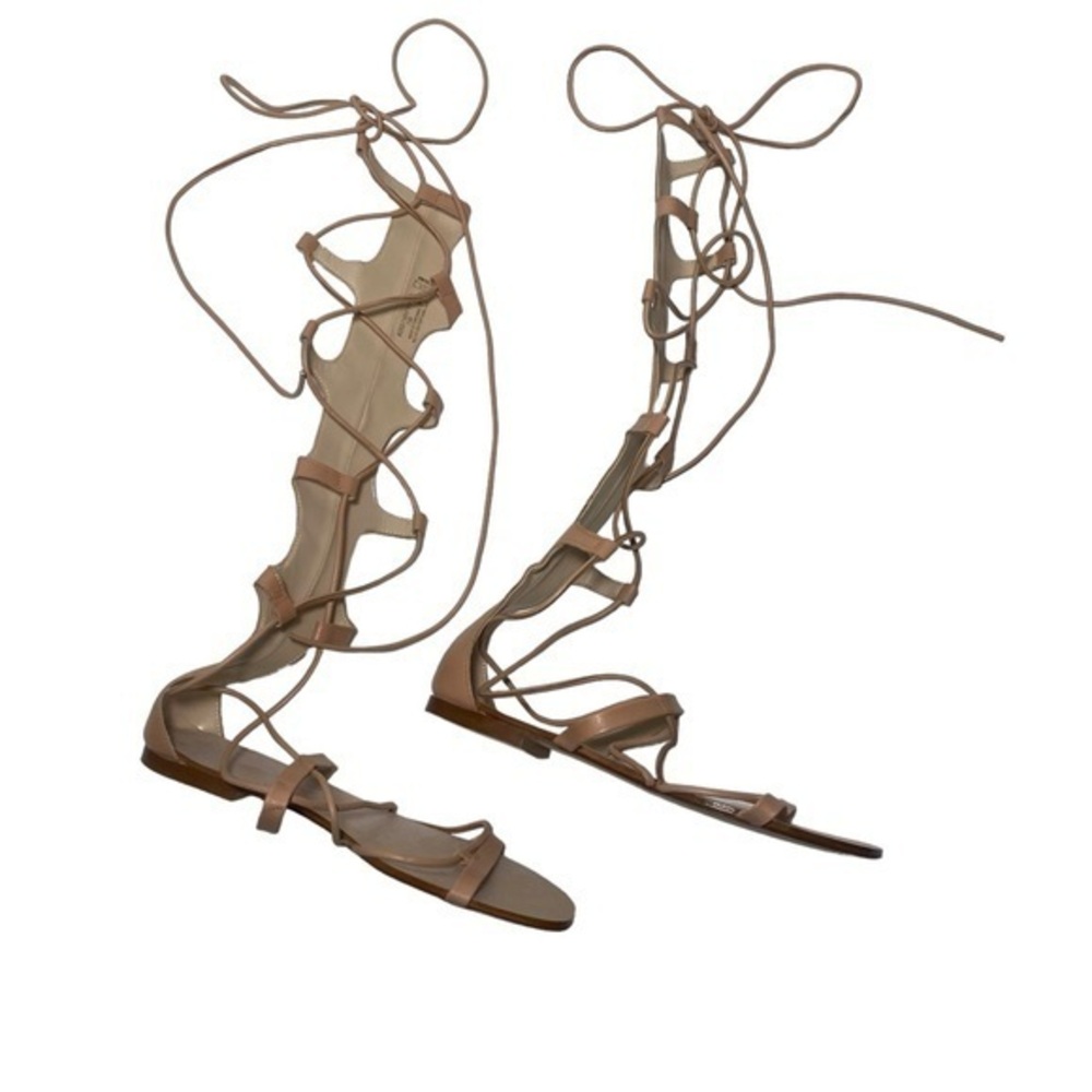 Zara Lace-Up Gladiator Sandals, NWOT